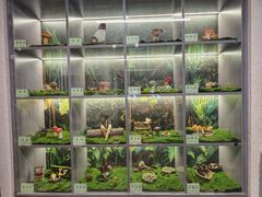 -七采菌园·野生菌石锅鱼(环城北路店)