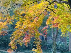 -狼山风景名胜区