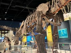 -国家自然博物馆