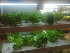 -盒马鲜生(大成店)