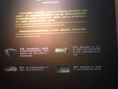 iphone_upload_pic-太阳部落