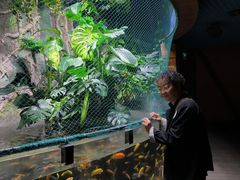 -太平洋海底世界