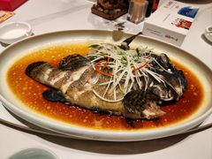 清蒸石斑鱼-小平岛開海水饺(浑南店)
