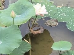 -西安汉城湖景区