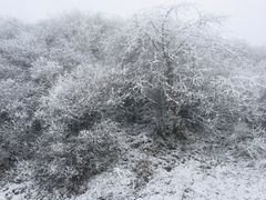 -太子岭滑雪场
