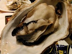 -星伦多自助料理·涮烤一体(嘉兴八佰伴店)