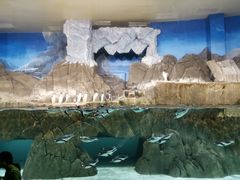 -成都浩海立方海洋公园