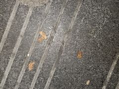 -老马家资格烤羊肉串·清真烧烤(清江西路地铁站店)