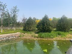 -张家湾公园