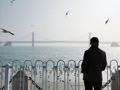 -星海湾跨海大桥