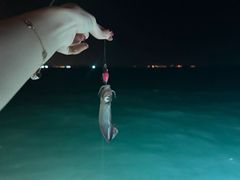 -杨梅坑