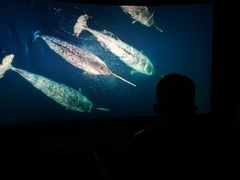 -中国杭州低碳科技馆