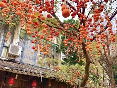 -田园印象·成都土菜院子(华阳店)