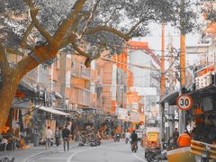 -溪岸路花鸟市场
