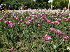 -长春公园(普阳街道)