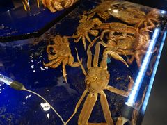 -蟹道乐(道顿堀本店)