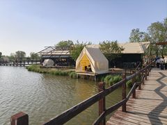 -西青郊野公园