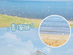 -青海湖国家重点风景名胜区