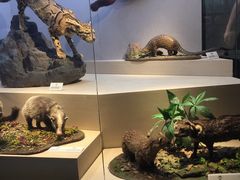 -武汉园博园(武汉自然博物馆)