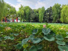 -四川大学(望江校区)