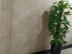 -上海报业大厦