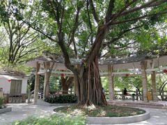 -云溪植物园