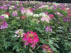 -艾溪湖湿地公园