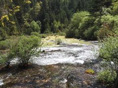 -九寨沟-树正沟