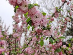 -北京西山国家森林公园