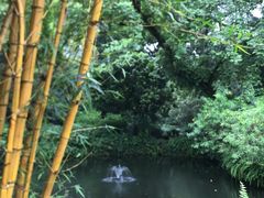 -广州兰圃