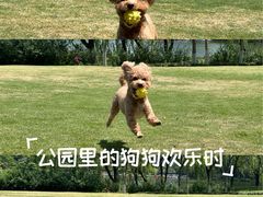-杭州城北体育公园