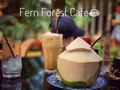-Fern Forest Cafe