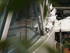 -中粮·祥云小镇