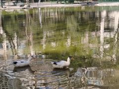 -西安市长乐公园