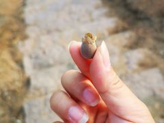 -青芝山风景名胜区