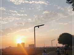 -光明小镇欢乐田园