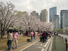 -西北湖绿化广场