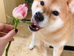 -钱小奴海鲜自助黑金店(杭州滨江龙湖店)