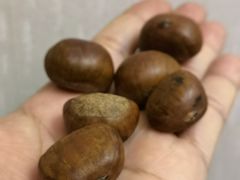 金栗王-金栗王(清扬路店)