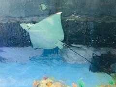 -常州海昌海洋探索馆