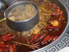 -杨肥肠火锅大排档(火车站花园店)