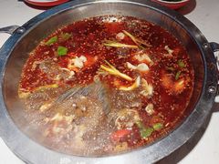 -蜀滋香鲜鱼美蛙火锅(339店)