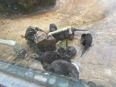-昆明动物园