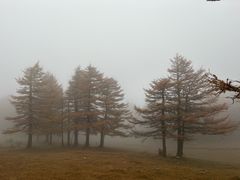 -芦芽山旅游度假区