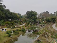 -东莞植物园