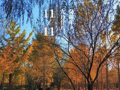 -天元公园