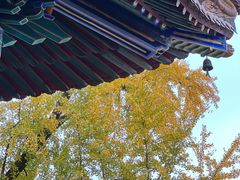 -宝通禅寺