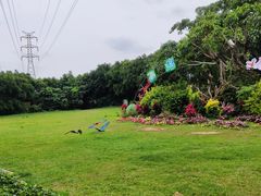 -广州长隆飞鸟乐园