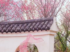 -重庆彩云湖湿地公园