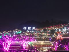 -枇杷园食为鲜火锅(南山店)